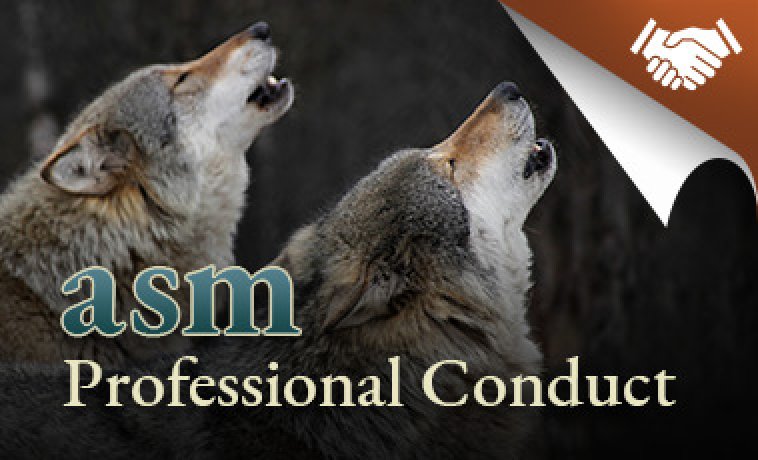 Professional Conduct